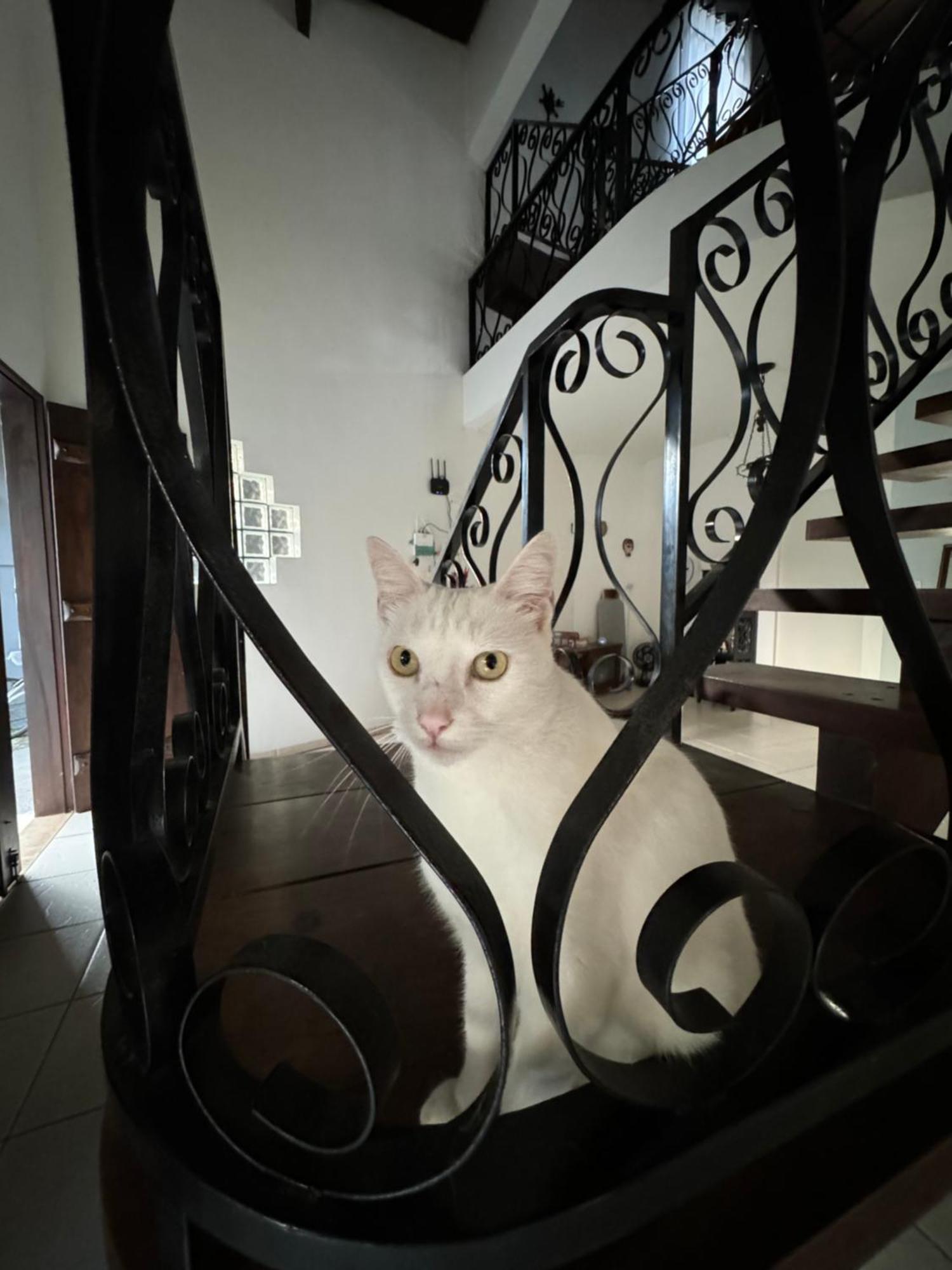 Bahan Suites Privativas - Ideal Para Casais อูบาตูบา ภายนอก รูปภาพ